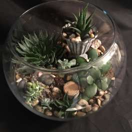 Glass bowl terrarium with assorted succulents and pebbles