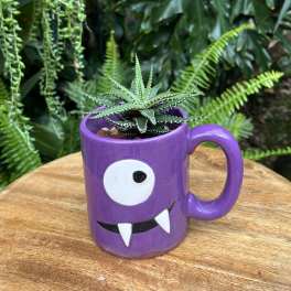 Small succulent in a purple monster-face mug planter