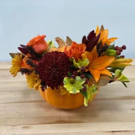 Happy Harvest