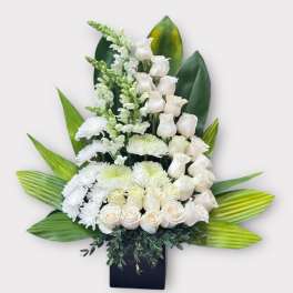 White roses and chrysanthemums arranged in a black vase with large green leaves.