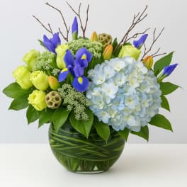 Bouquet of blue irises, pale hydrangea, and lime roses in a glass vase