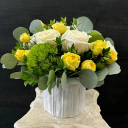 Yellow and white roses in a white vase with round silver-green foliage