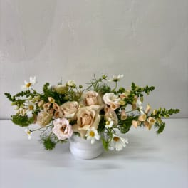 Low floral arrangement of blush roses and white daisies in a white vase