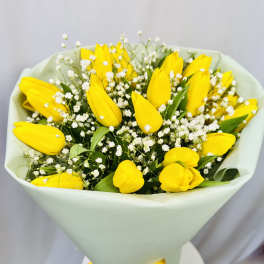 Yellow tulips with white baby's breath in pale wrapping
