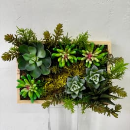 Rectangular succulent arrangement in a wooden frame on a clear stand