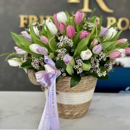 Basket arrangement of pink, white, and lavender tulips with a ribbon