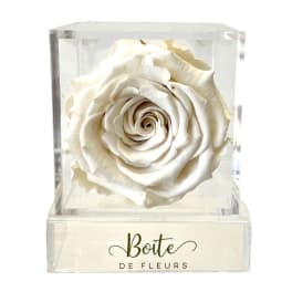 White rose in a clear acrylic box with a printed label