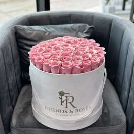 Round box of pink roses on a chair