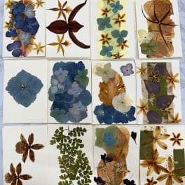 Pressed flower art cards with blue, brown, and green botanical designs.