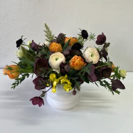 Mixed orange, white, and burgundy flowers in a white vase