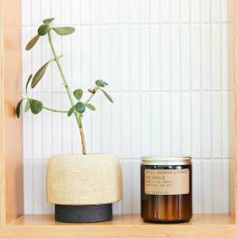 Small potted succulent beside a jar candle on a wooden shelf