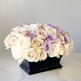 Cream and lavender roses arranged in a black vase