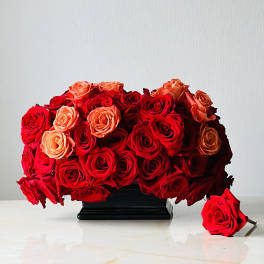 Red and peach roses arranged in a black vase