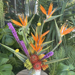 Tropical arrangement with orange bird-of-paradise and purple accents in a white vase