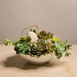 Succulent arrangement in a white bowl with a handle