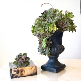Succulent arrangement in a dark pedestal vase with a small succulent on a book