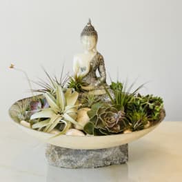 Succulent arrangement with a Buddha statue in a shallow bowl