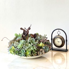 Low bowl of assorted succulents beside a small tabletop clock