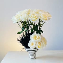 White roses arranged in a striped vase with dark foliage