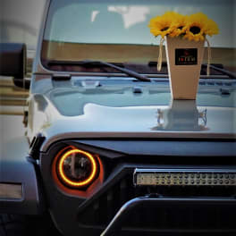 Sunflowers arranged in a tall beige vase on the hood of a Jeep