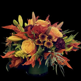 Autumn Splendor