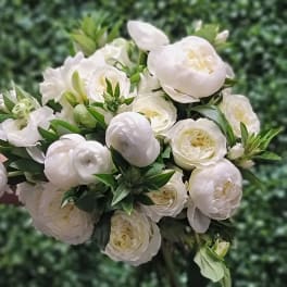 White ranunculus bouquet with green buds against a leafy background