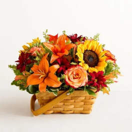 Fields of Europe® for Fall Basket