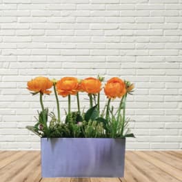 Orange flowers arranged in a rectangular silver container