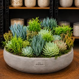 Succulent arrangement in a shallow gray bowl on a wooden table