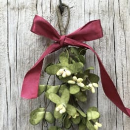 Holiday Mistletoe