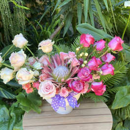Pink and white roses arranged in a white vase with a purple ribbon