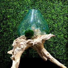 Terrarium Large