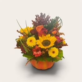 Autumn bouquet of sunflowers, chrysanthemums, and red-orange blooms in a pumpkin vase