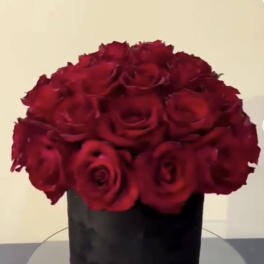 Red roses arranged in a black cylindrical box