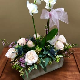 White orchid stems with blush roses and blue accents in a wooden box with a pink bow.