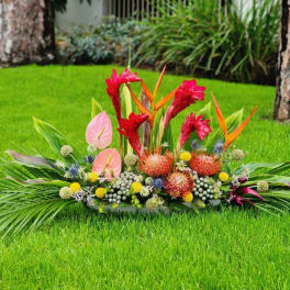 Tropical floral arrangement with red and orange blooms on a lawn