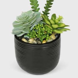 Artificial Succulent Arrangement