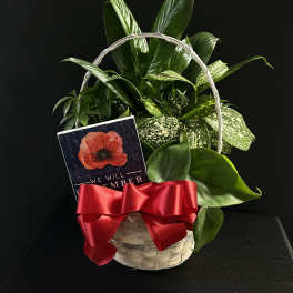 Basket of green houseplants with a red ribbon and memorial card
