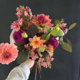 Handheld bouquet of pink and orange dahlias with dark foliage