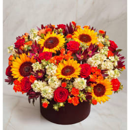 Bright mixed bouquet with sunflowers, roses, and white blooms in a dark round box