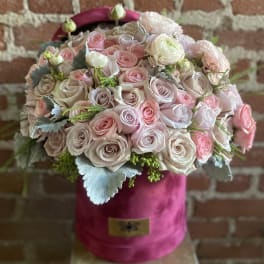 Amalfi- Studio City Florist
