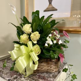 Basket arrangement of pale yellow roses with white blooms and a large ribbon