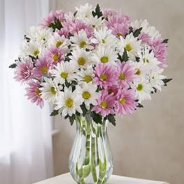 Lovely Daisy Bouquet