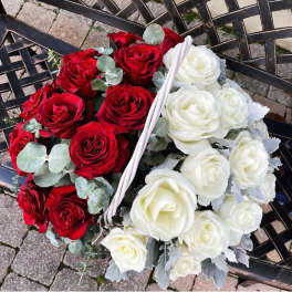 Basket of red and white roses with silver foliage