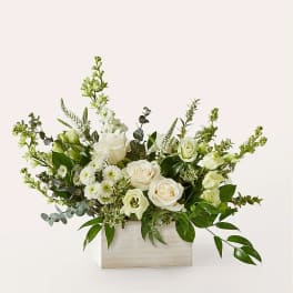 White roses and small white blooms in a rectangular wooden box