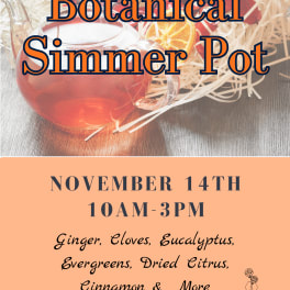 Promotional poster for a botanical simmer pot with dried citrus and herbs