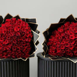 Two large bouquets of red roses wrapped in black paper with gold trim