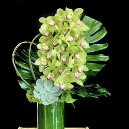 Green orchid arrangement in a tall glass vase with a succulent accent