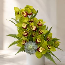 Green orchid arrangement in a white vase with a blue succulent accent