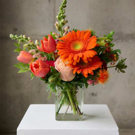 Orange gerbera daisies and pink tulips in a clear glass vase